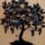 BAcktonature_BENEDETTO PIETROMARCHI, 2020 (Museo Bilotti)