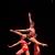 Balletto Mediterranea@Cristiano Cataldi